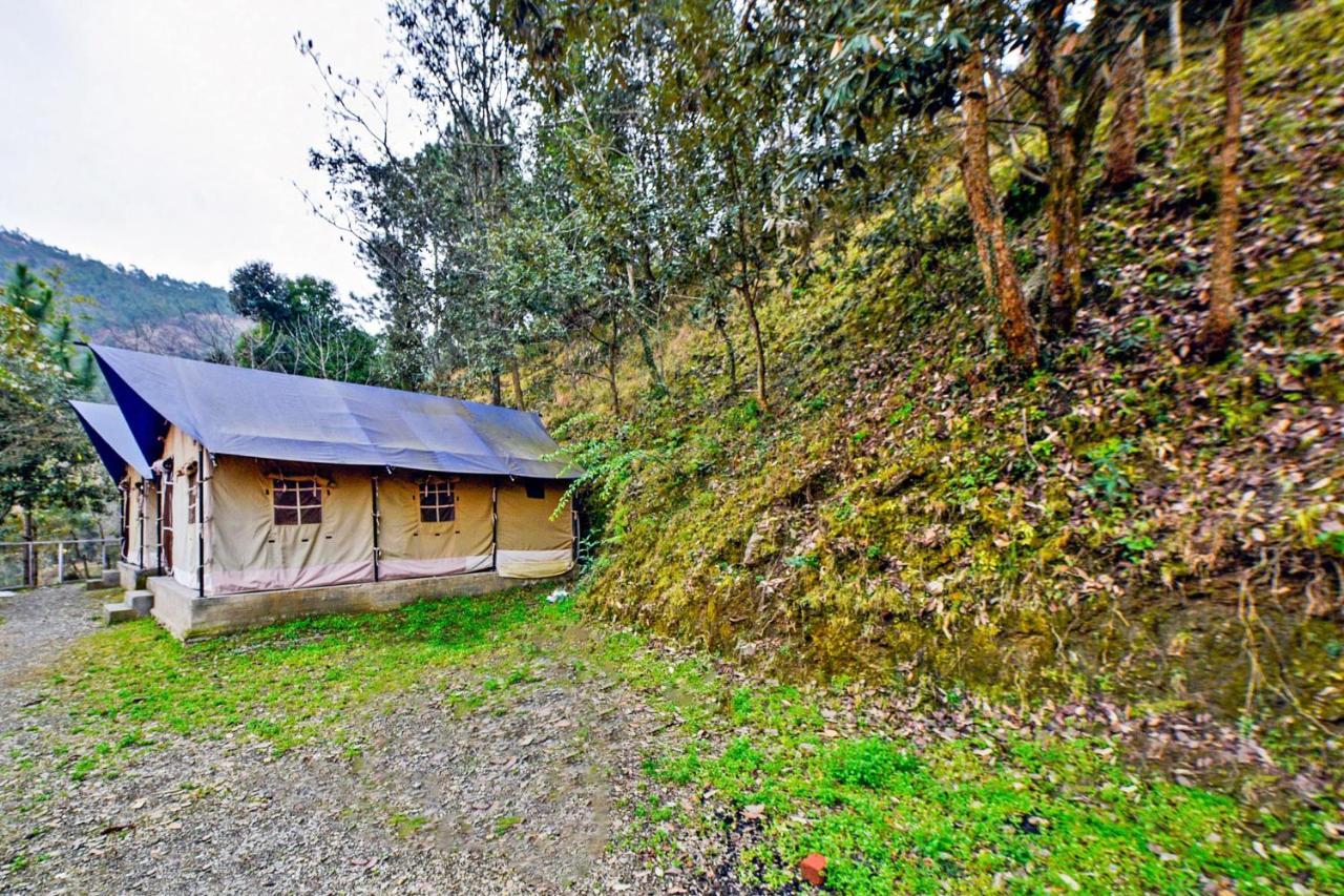 Hôtel Oyo 29888 Nature Treat à Chail Extérieur photo